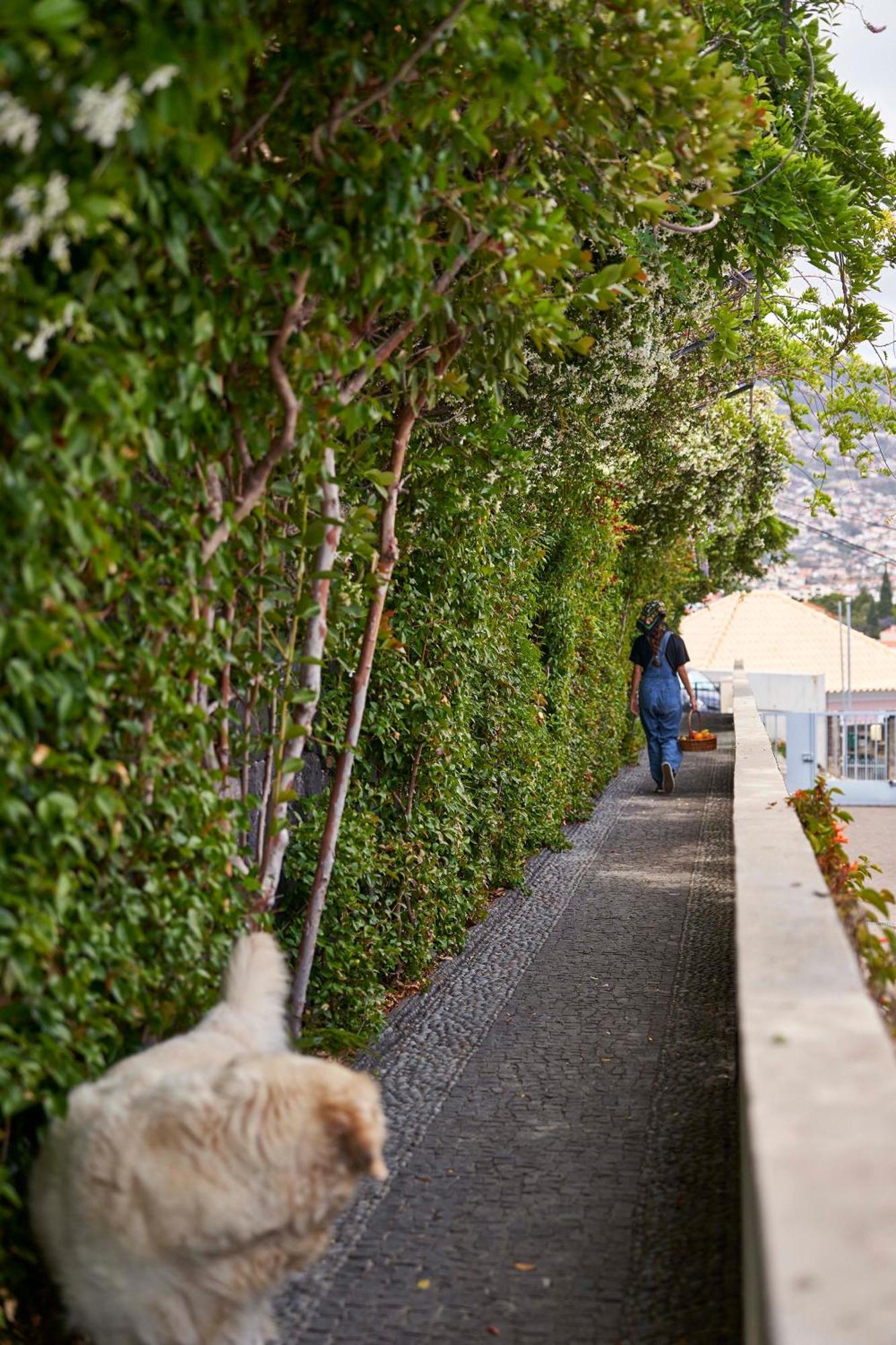 Bordal Houses Funchal  Ngoại thất bức ảnh