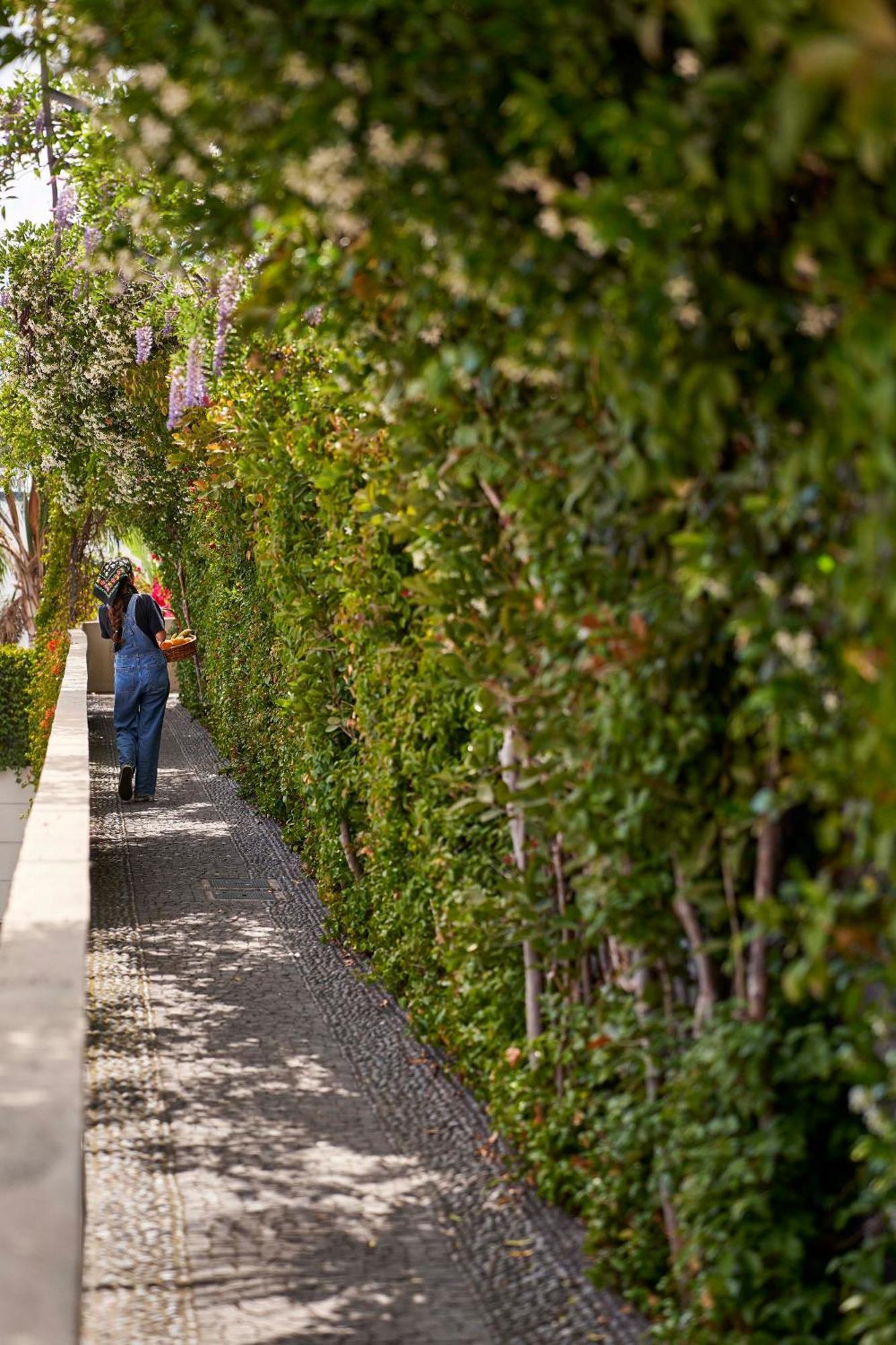 Bordal Houses Funchal  Ngoại thất bức ảnh