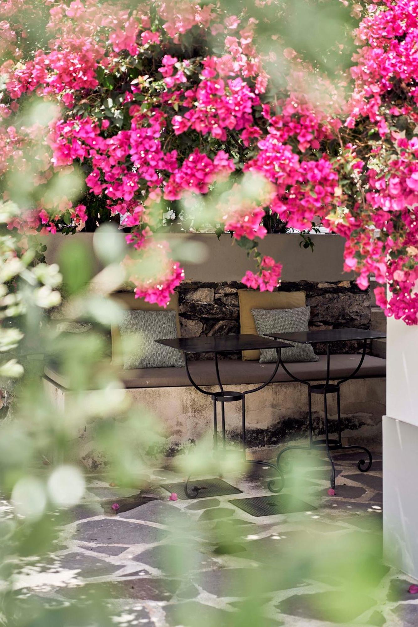 Bordal Houses Funchal  Ngoại thất bức ảnh