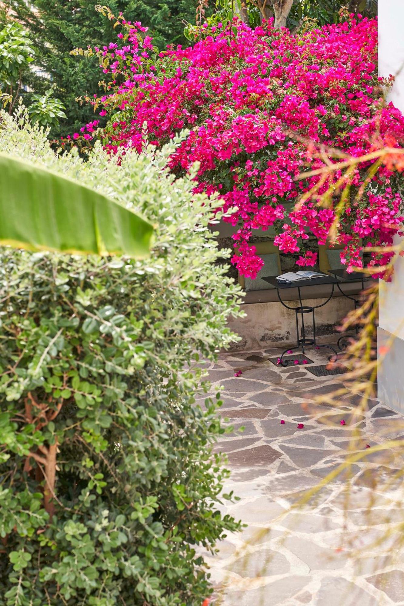 Bordal Houses Funchal  Ngoại thất bức ảnh